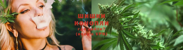 PSILOCYBIN Зерноград