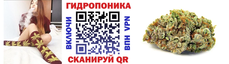 Марихуана SATIVA & INDICA  Болохово 